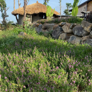 Туоператор МИР ТУР-芽庄必去景点