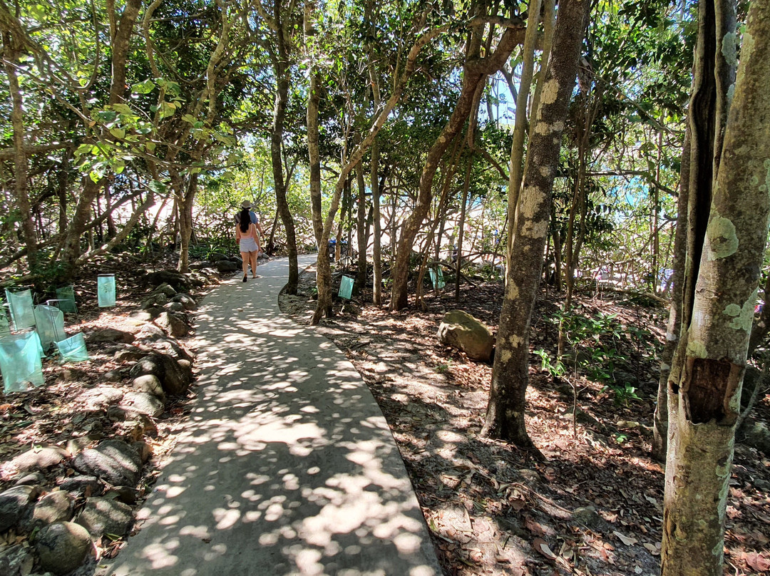 Burleigh Headland Ocean View Track-伯利角必去景点