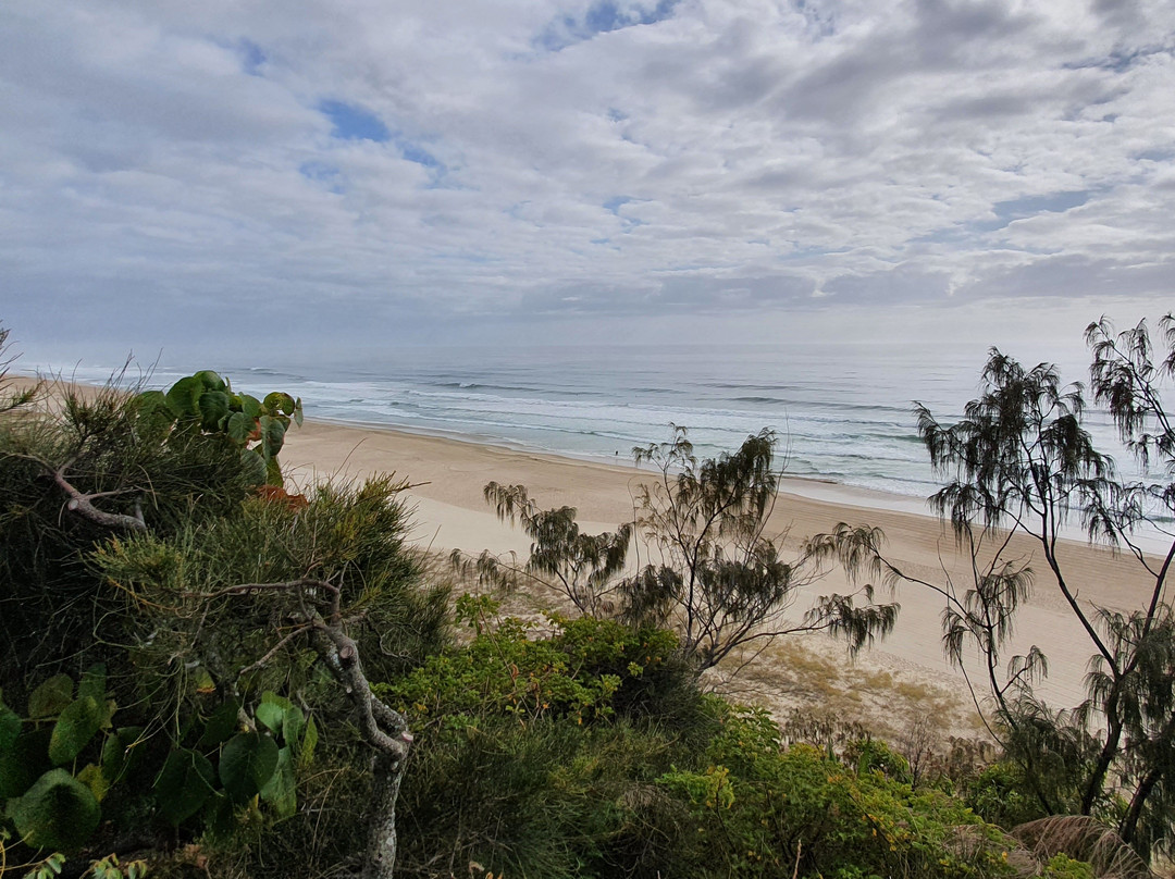 Lores Bonney Lookout-Miami必去景点