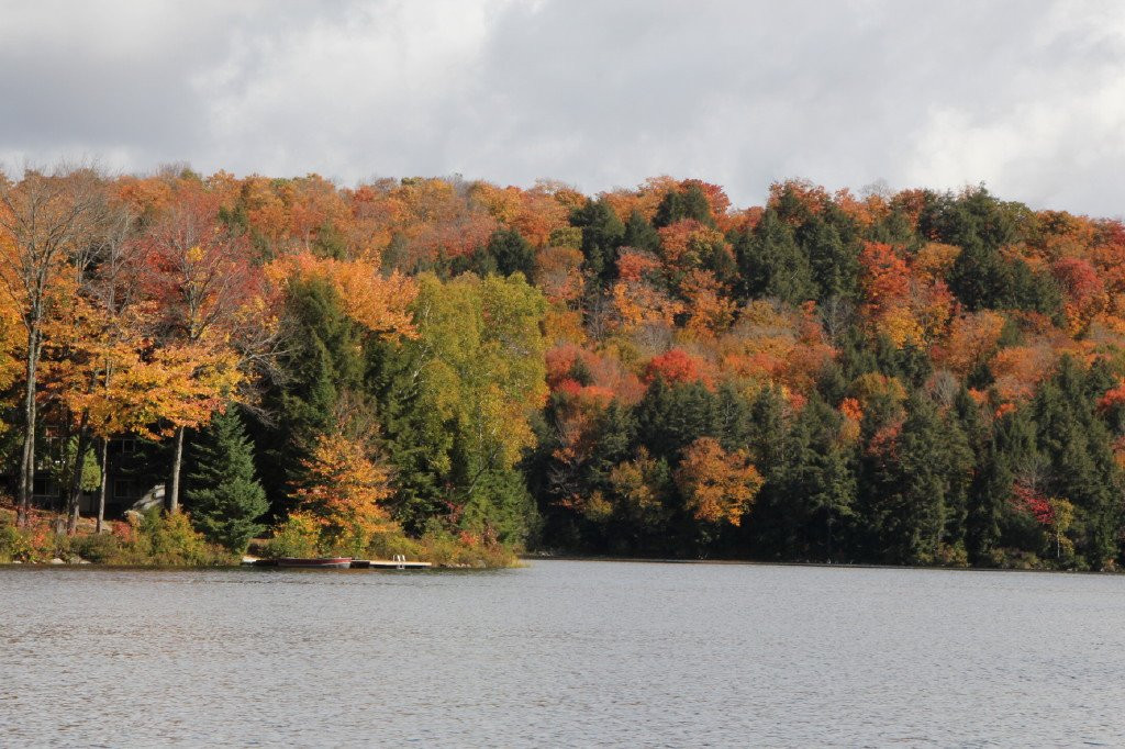 Limberlost Forest & Wildlife Reserve-亨茨维尔必去景点