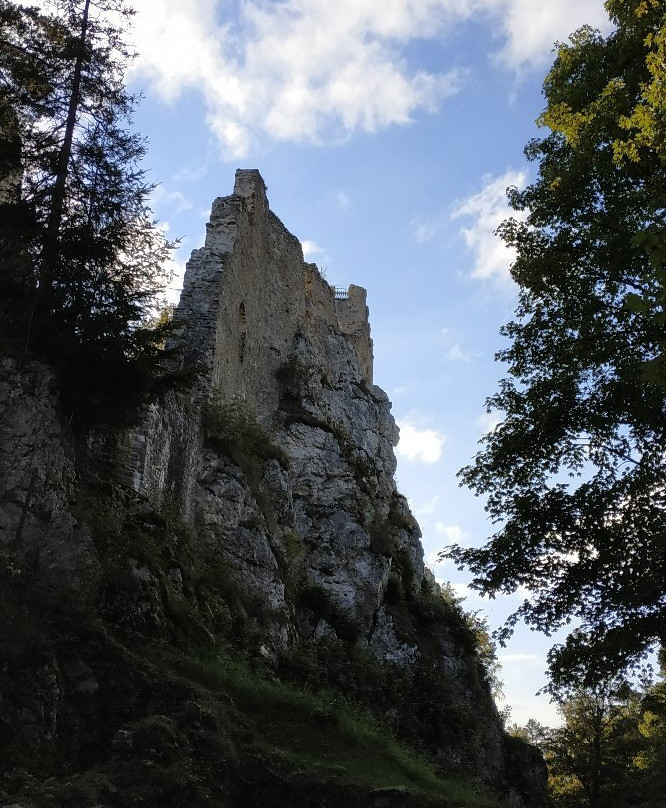 Burg Weissenstein-Regen必去景点