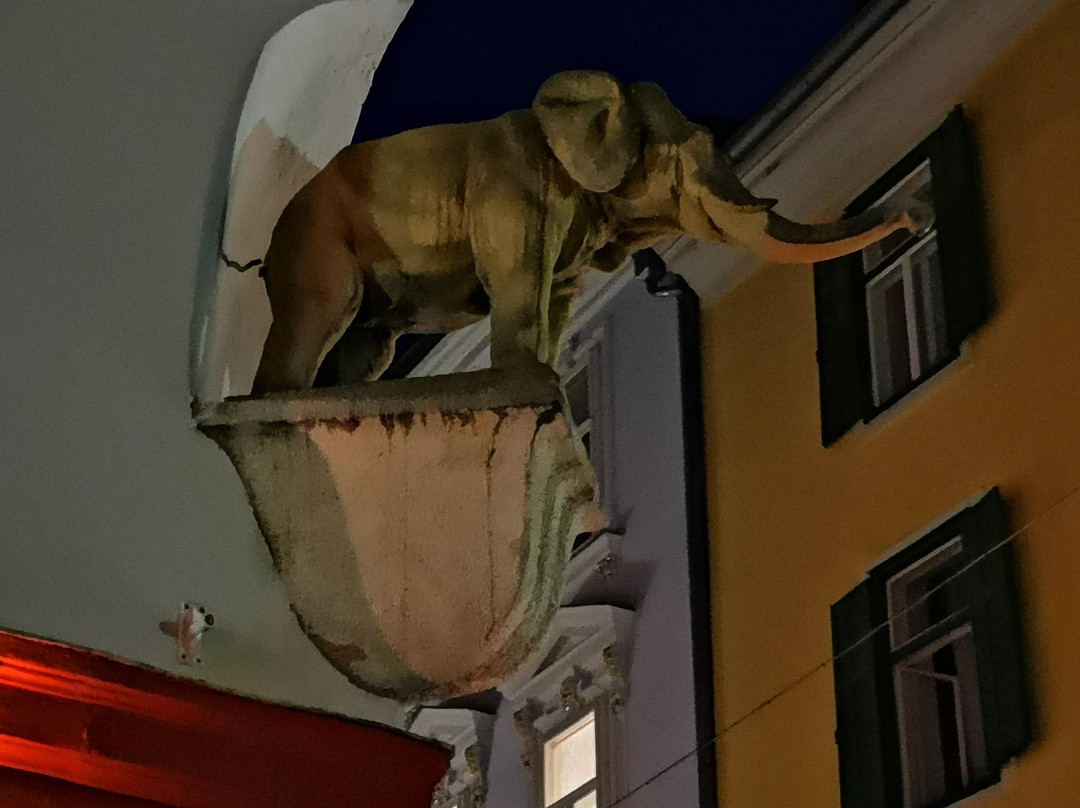 Der Kleine Elefant-格拉茨城必去景点