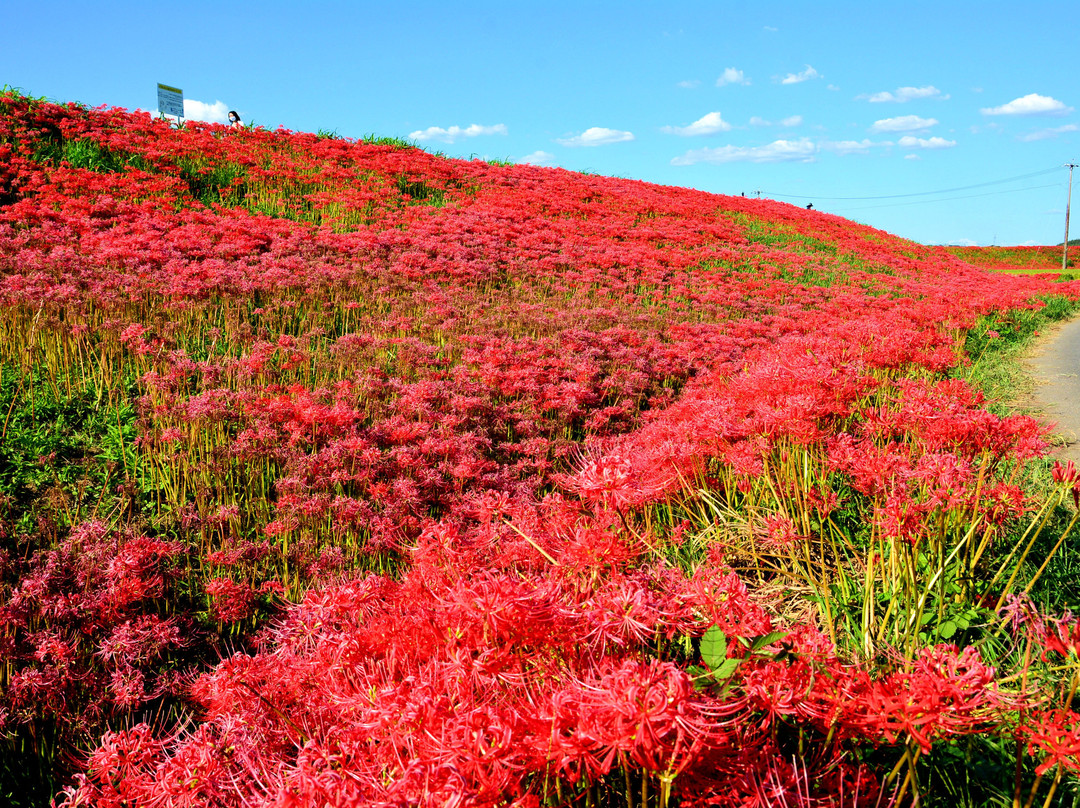 Yakachi River-半田市必去景点