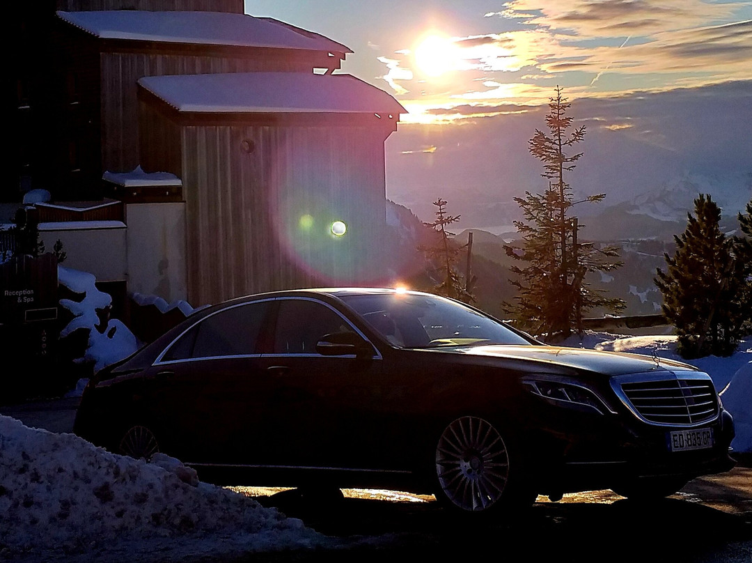 ABIS ALPES Chauffeur景点图片
