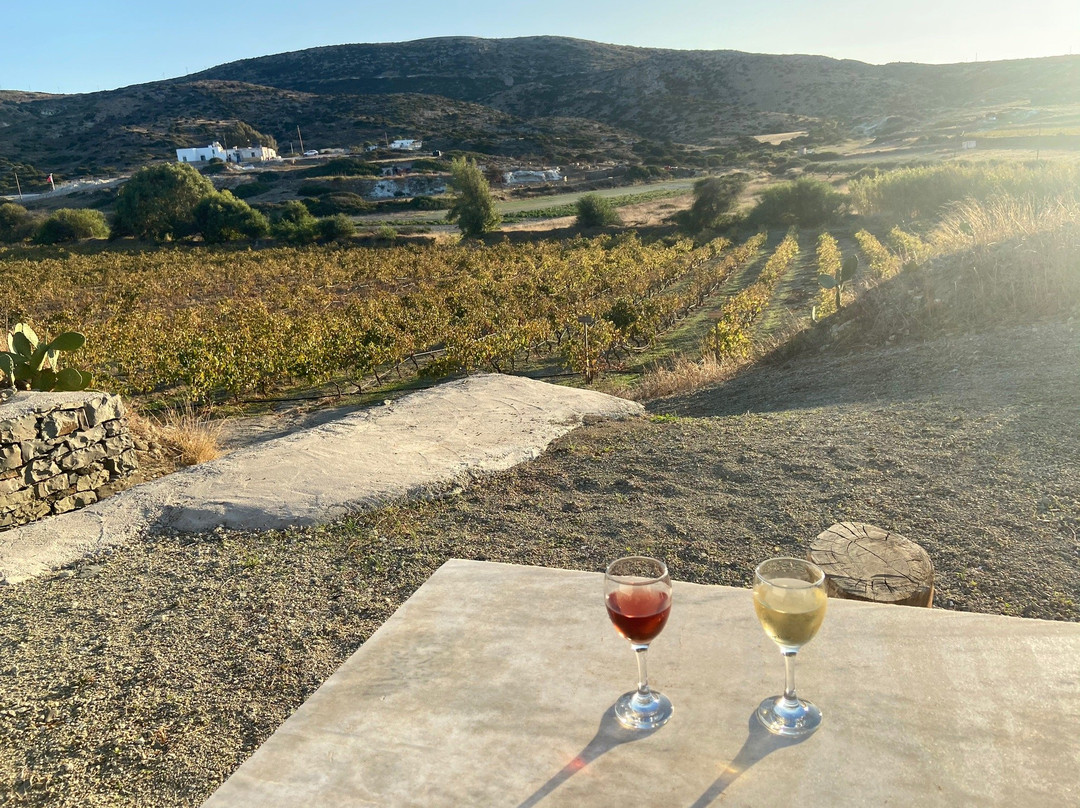 Kostantakis Cave Winery-Pollonia必去景点