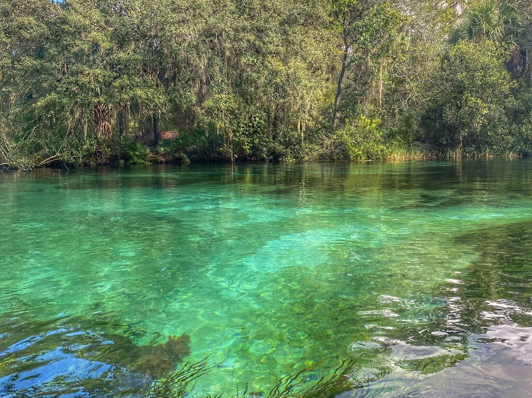 Rainbow River Canoe and Kayak-Dunnellon必去景点