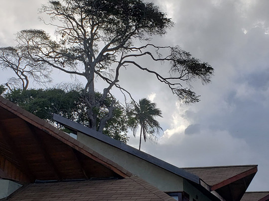 Pousada Rangai主图