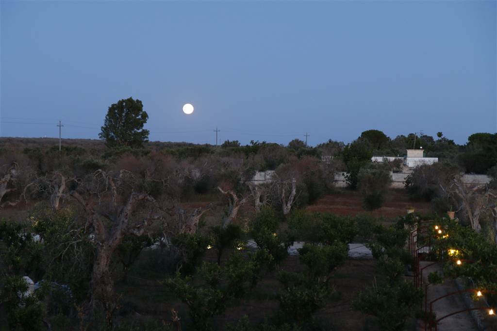 Agriturismo Li Calizzi Arte & Natura-浴室