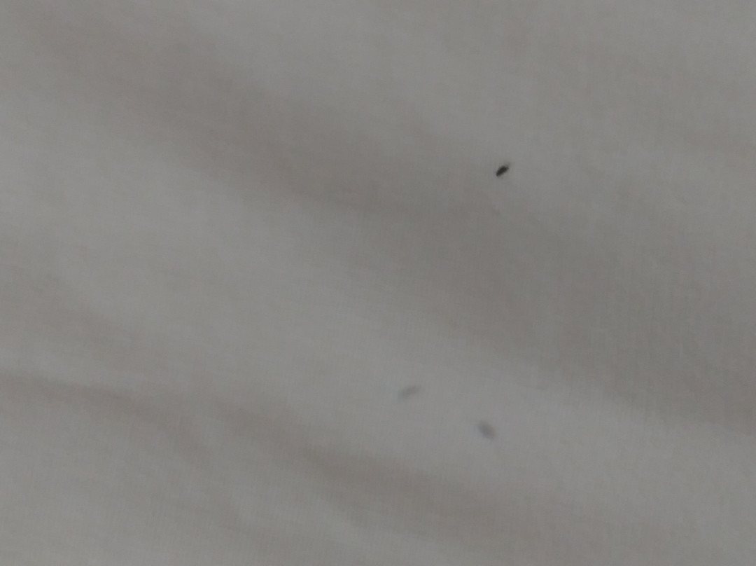 Regency Inn & Suites主图