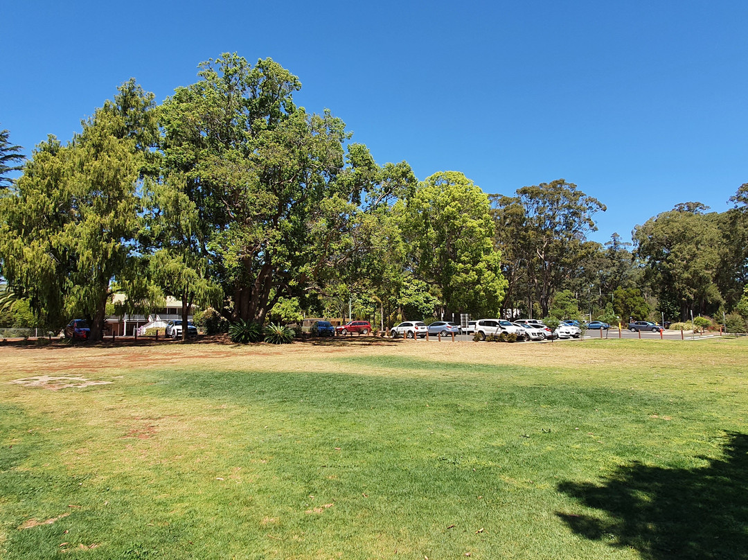 Peacehaven Botanic Park-Highfields必去景点