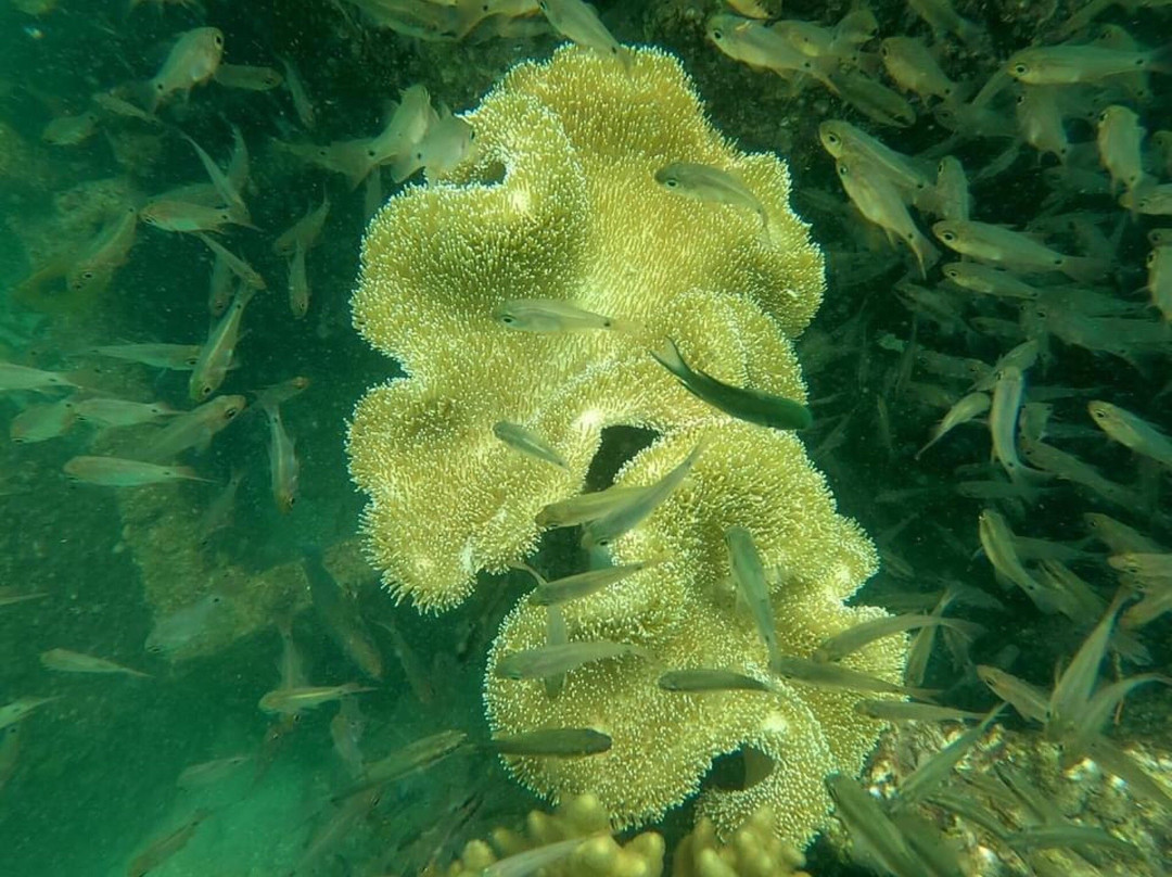 黑岛-芽庄必去景点