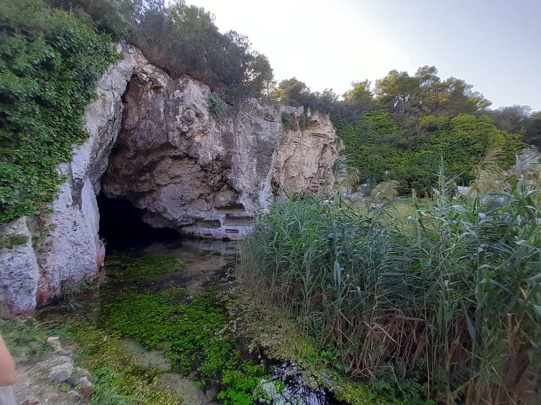 Oasi Archeologica-Naturalistica Necropoli - La Salata-维耶斯泰必去景点
