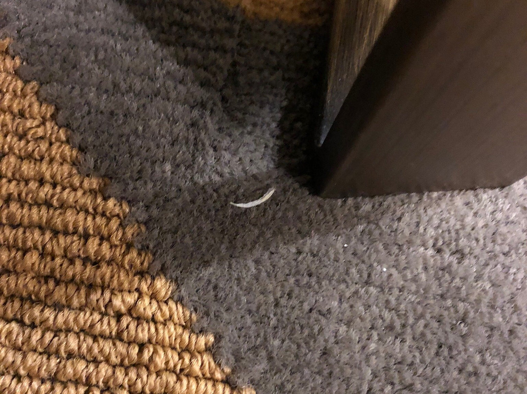 Holiday Inn & Suites Idaho Falls by IHG主图