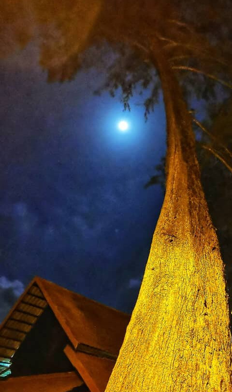 Resorts World Kijal主图