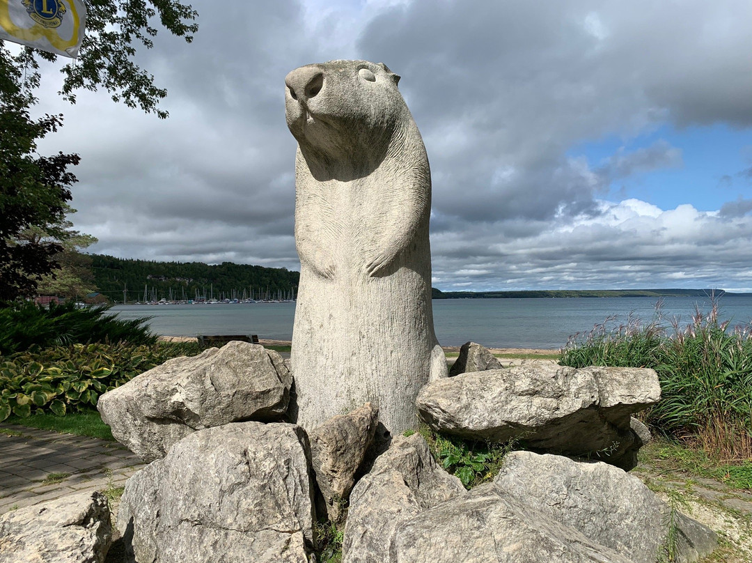 Wiarton Willie Statue景点图片
