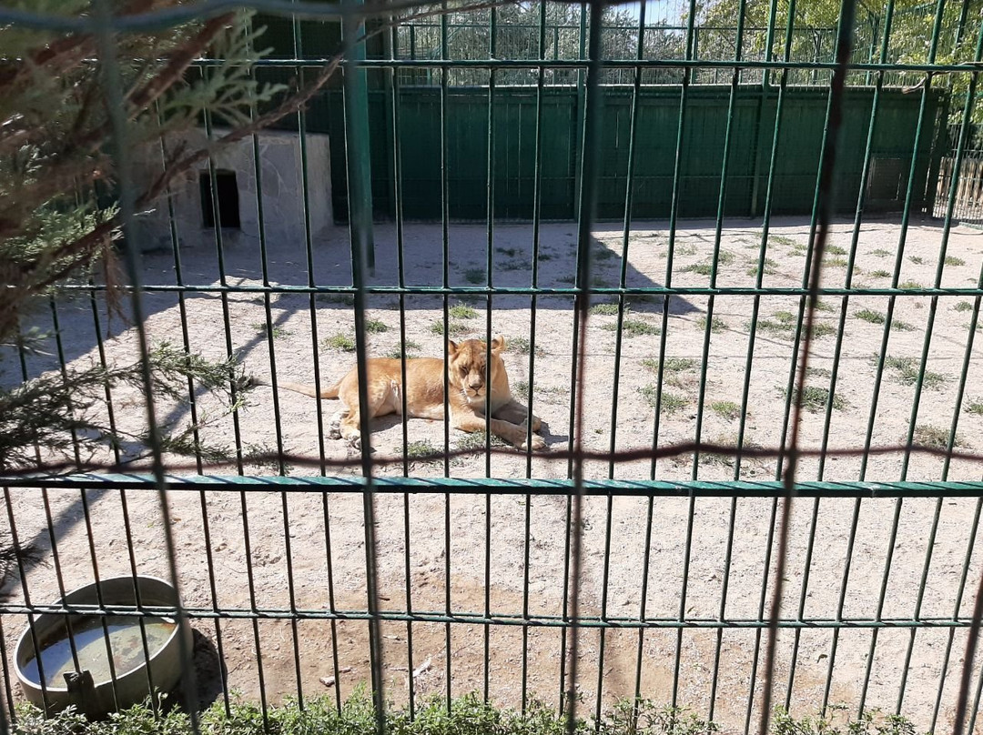 Safari Zoo-Berdyansk必去景点