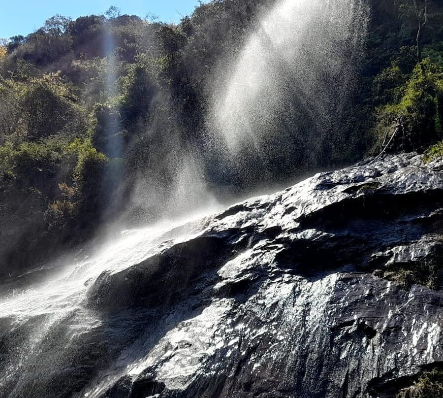 Floresta Estadual Uaimii-欧鲁普雷图必去景点