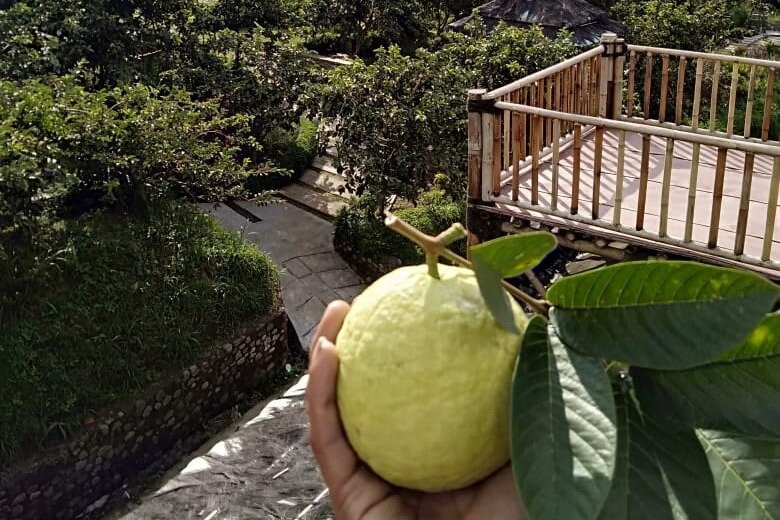 Agrowisata Kopeng Gunungsari-Kopeng必去景点