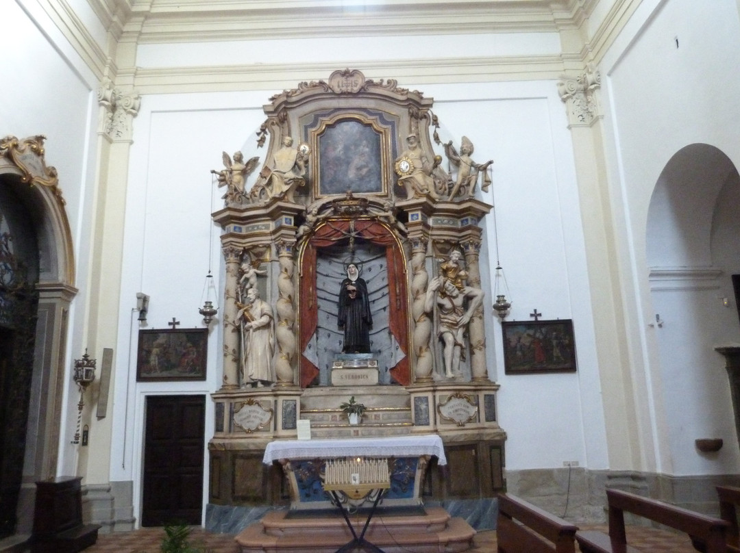 Collegiata Di San Pietro Apostolo景点图片