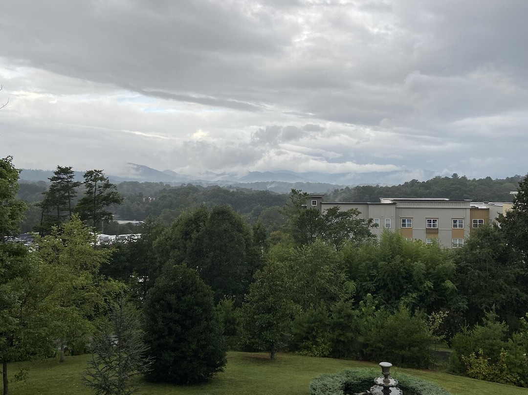 雷诺兹大厦主图