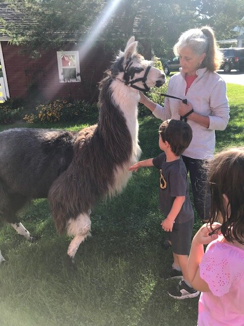 The Willowicke Inn主图