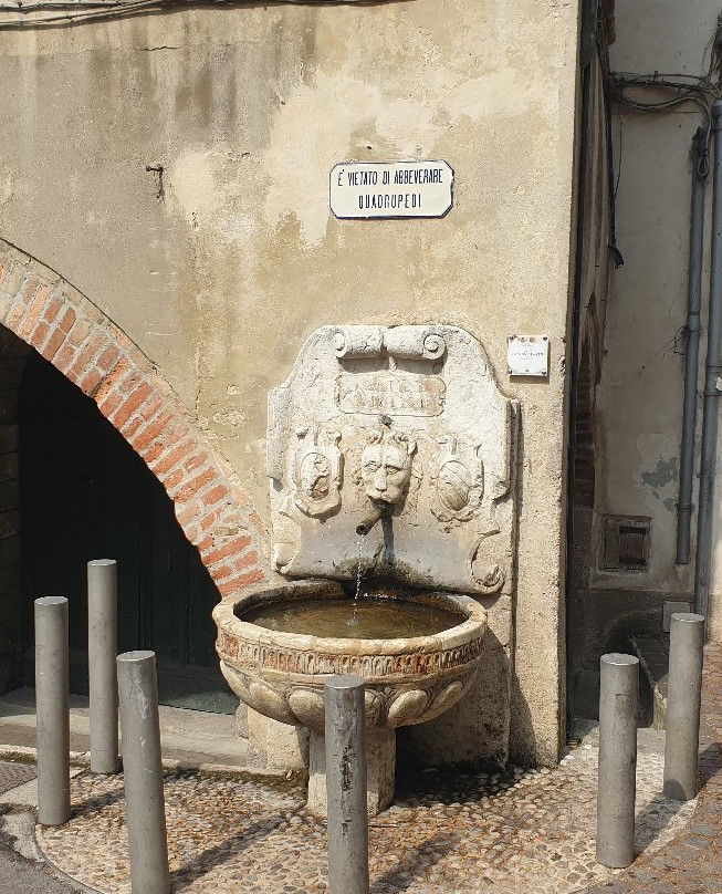 Fontana Maggiore景点图片
