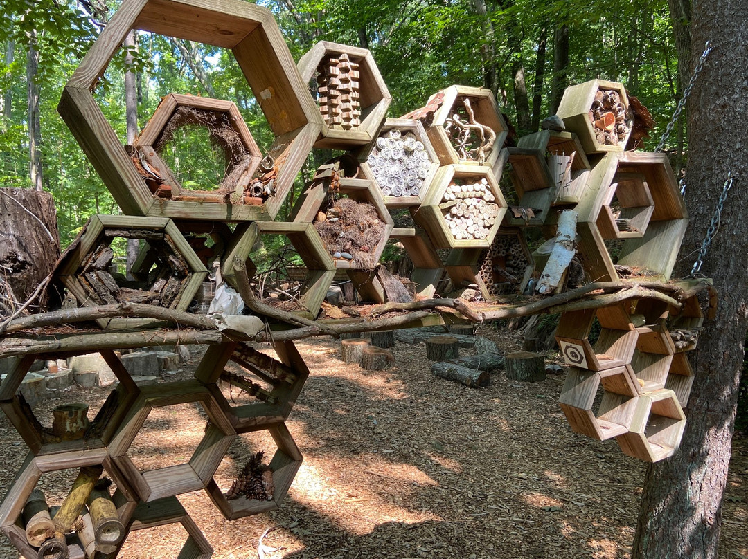 New England Wild Flower Society Garden in the Woods-弗雷明汉必去景点