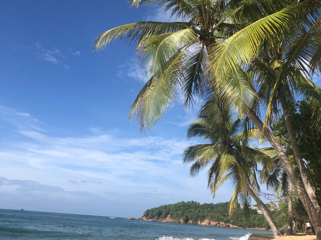 One Love Martinique Surf School-Tartane必去景点