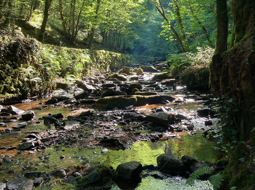 Le Saut de la Bergère主图