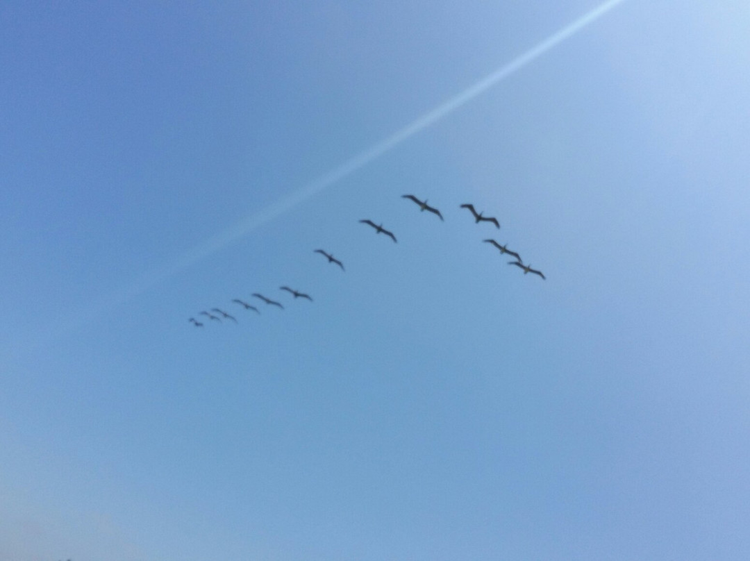 La Buena Vida Hotel- Ayampe主图