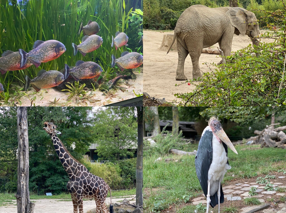 Zoo Duisburg景点图片