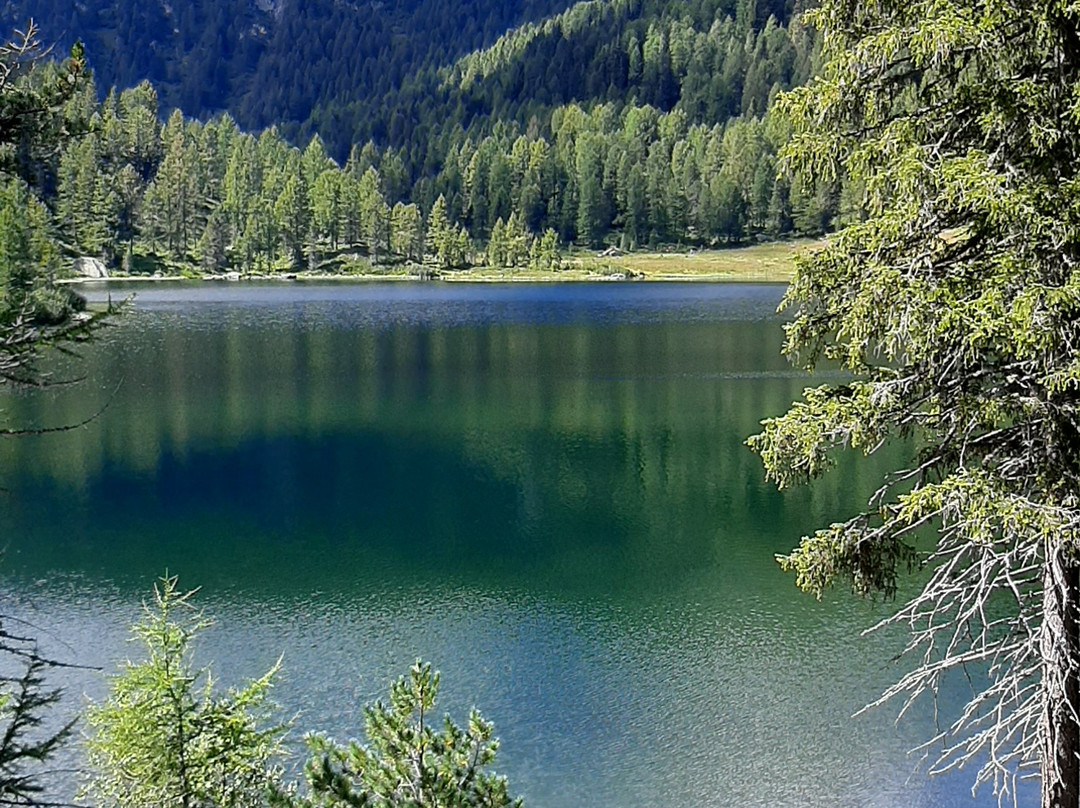 Lago delle Malghette景点图片
