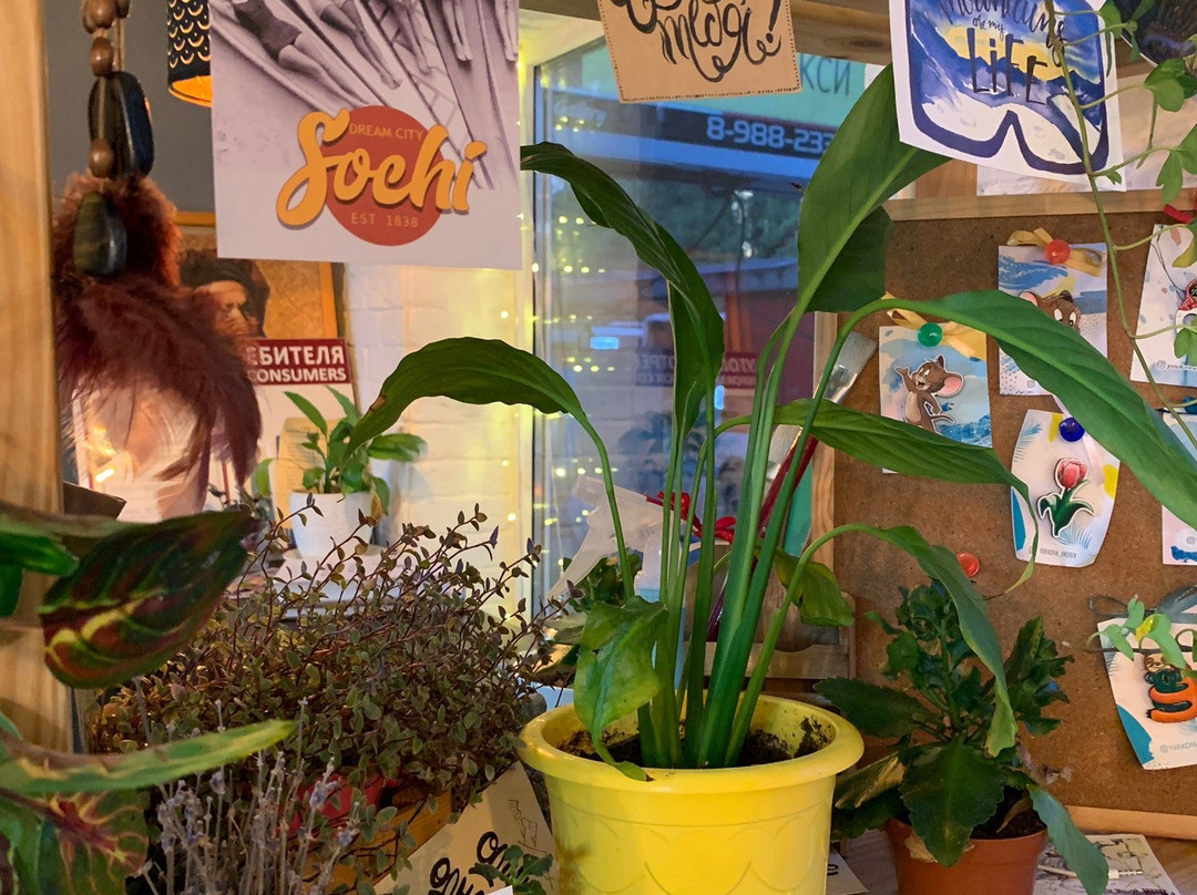 Bolshe Spetsiy-索契必去景点