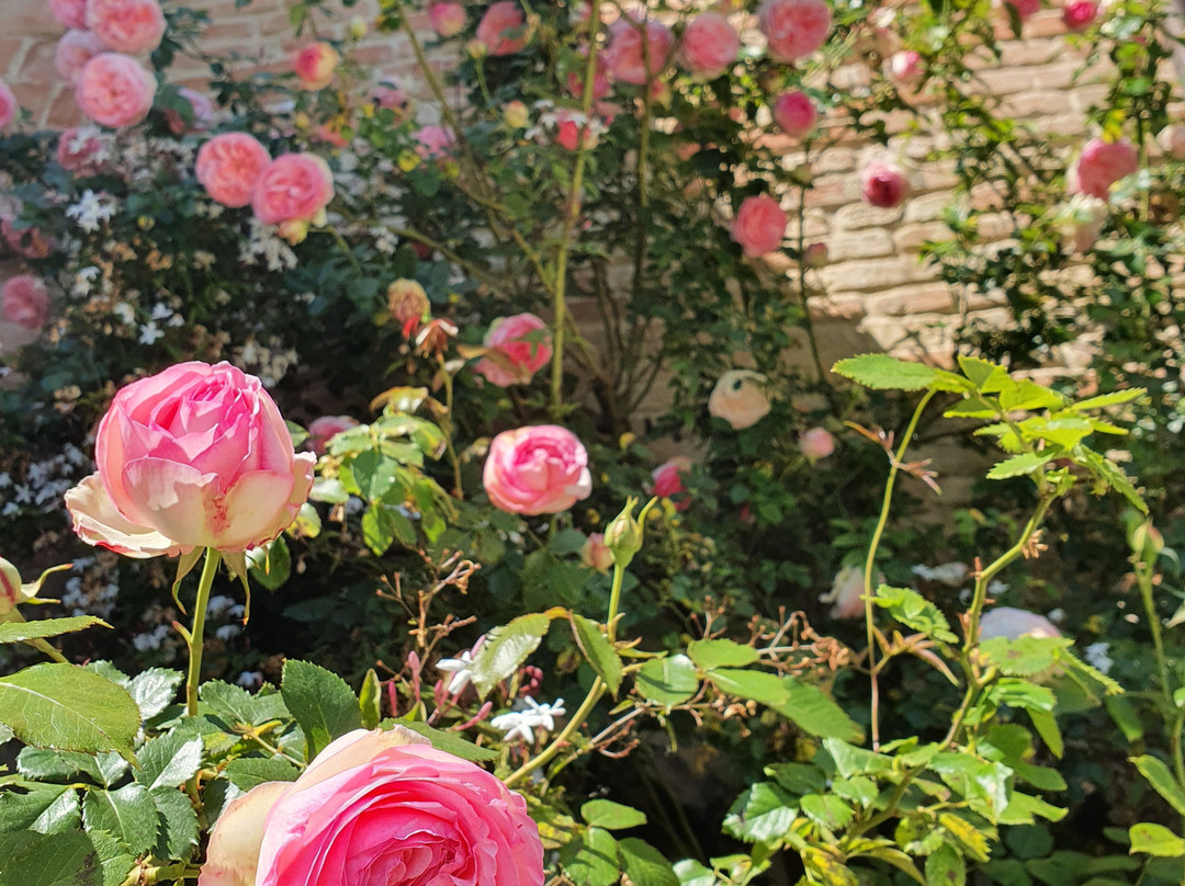 Ripabianca Agriturismo di Charme主图