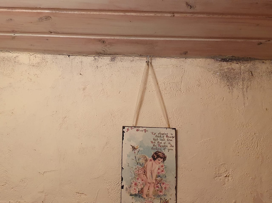 Casa Rural La Quinta de Malu主图