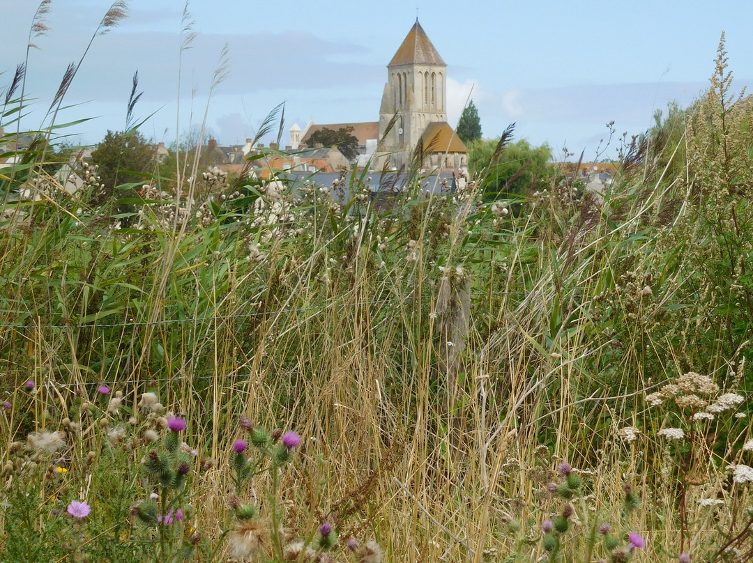 Eglise Saint-Samson景点图片