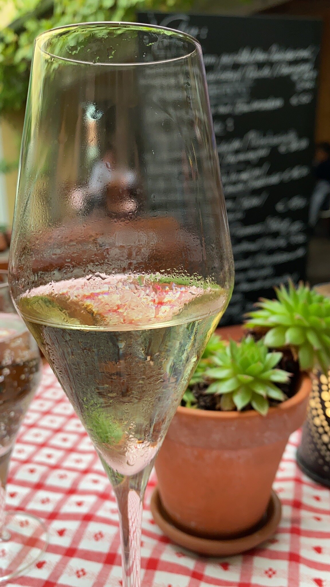 Landhotel Und Weingasthof Schwarzer Adler-官方