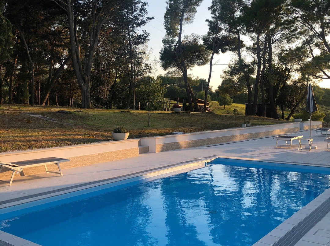 Villa De Ruschi Guest House主图