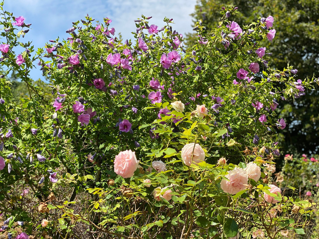 Gites du Caylar主图