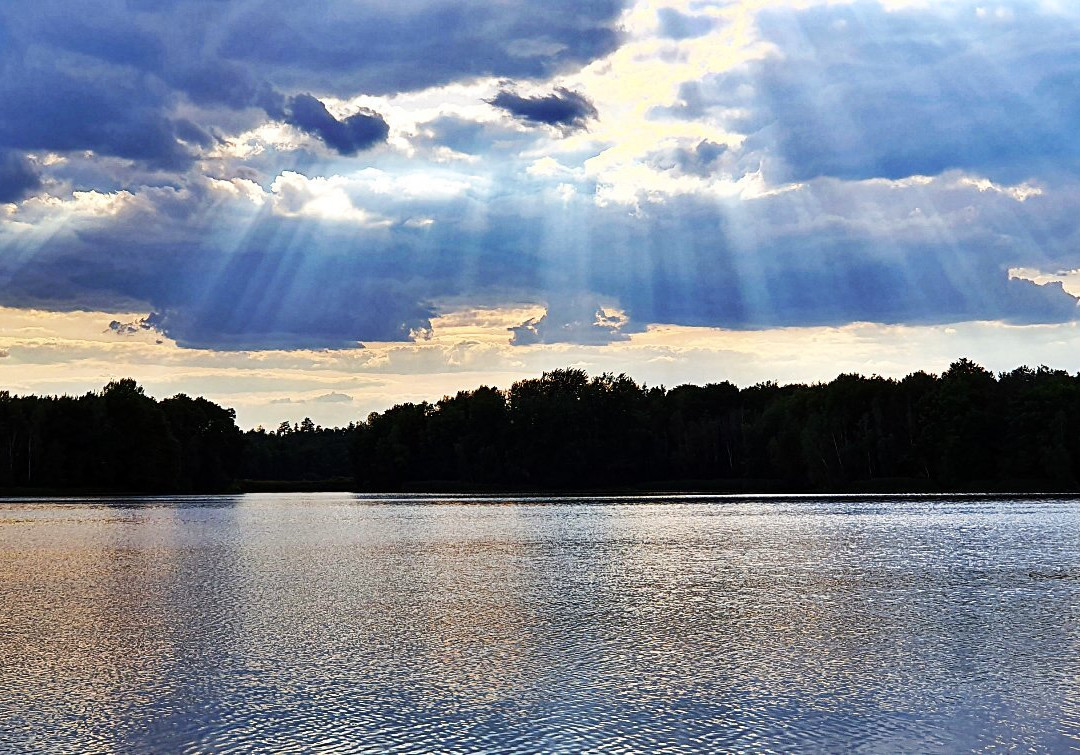 Hochseilgarten Moritzburg Am Mittelteich-莫里茨堡必去景点