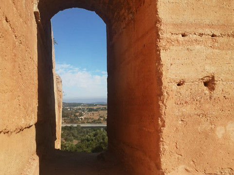 Zebra Safari Tours-阿尔布赞拉必去景点