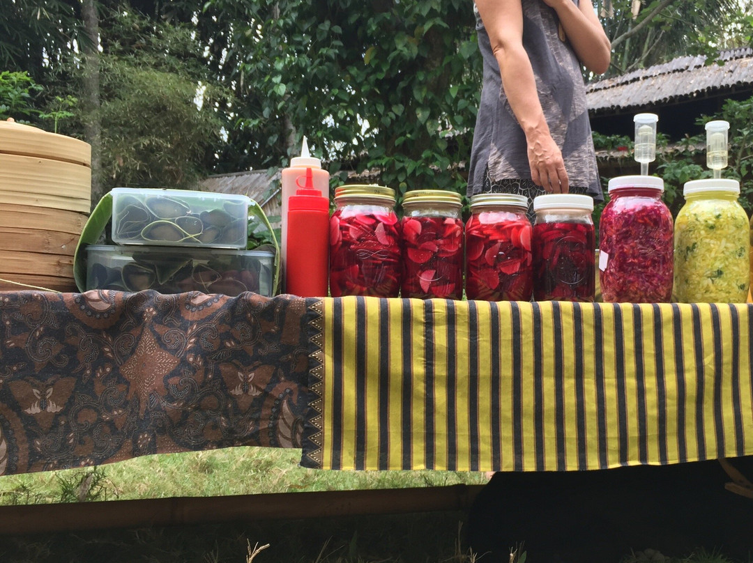 The Kul Kul Farm-阿比安塞马尔必去景点