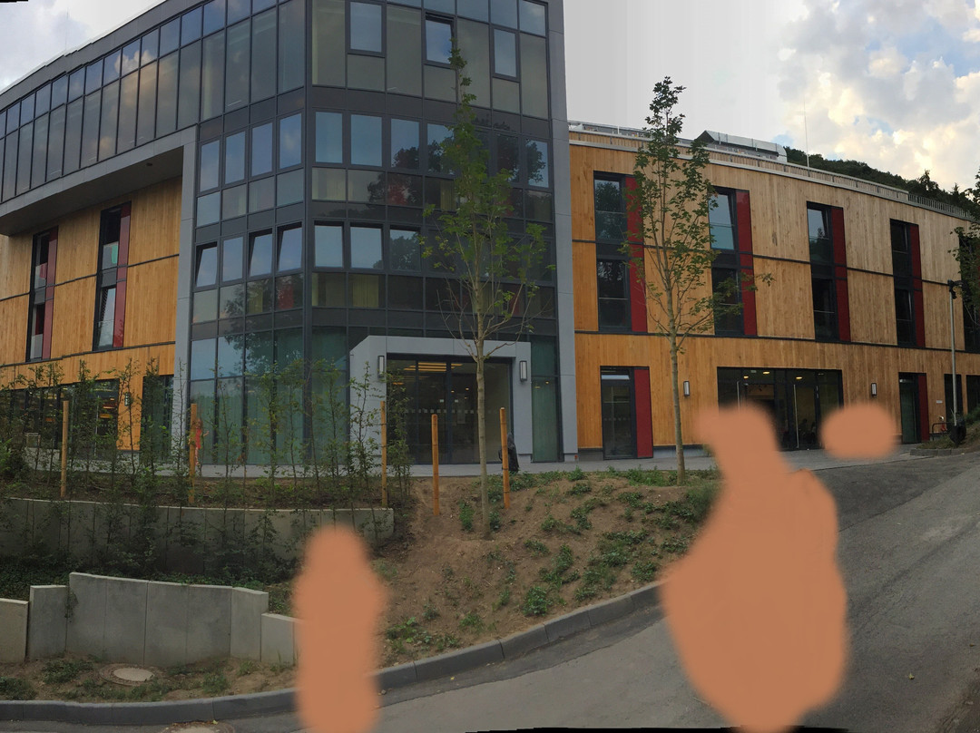 DJH Jugendherberge Gemund Vogelsang主图