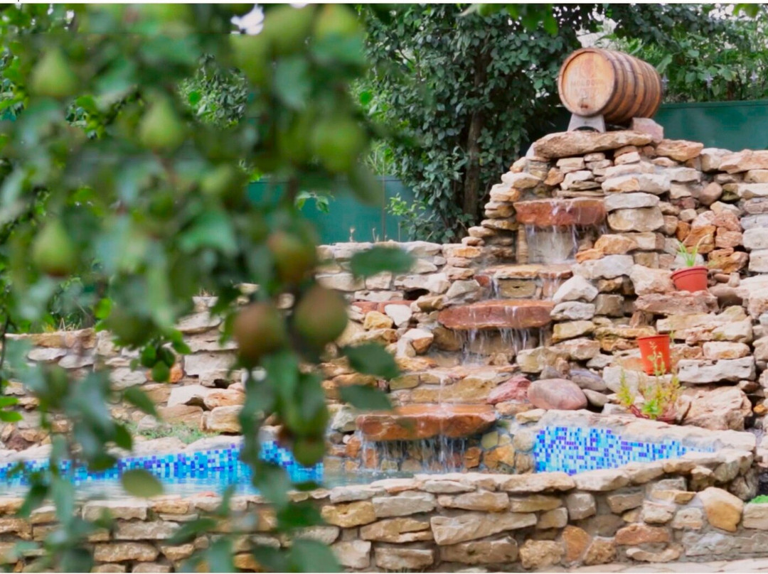Kara Gani Winery-Vulcanesti必去景点