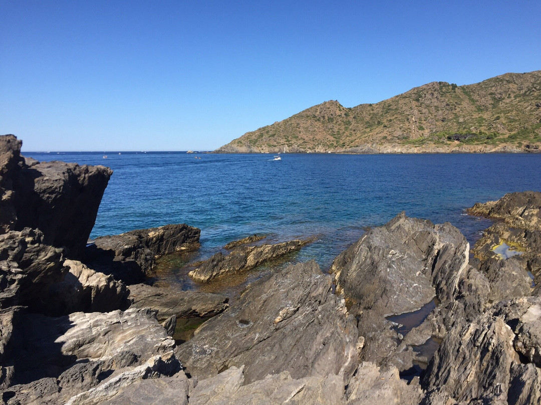 Cala Tamariua景点图片