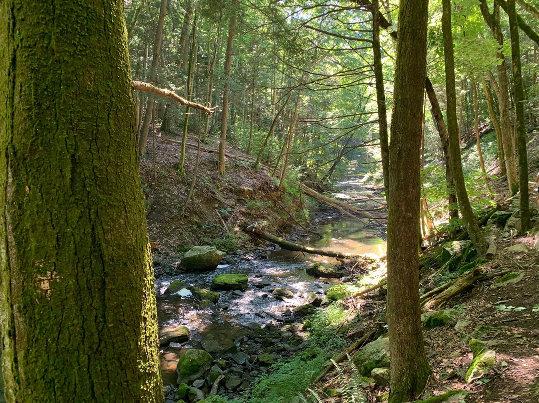 Mianus River Gorge Preserve-Bedford必去景点