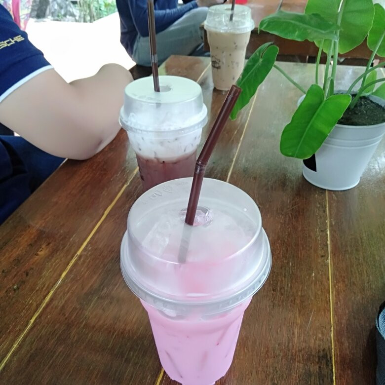 Khao Nang Phanthurat Forest Park景点图片