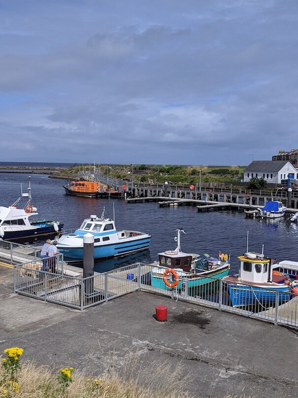 Girvan Harbour景点图片