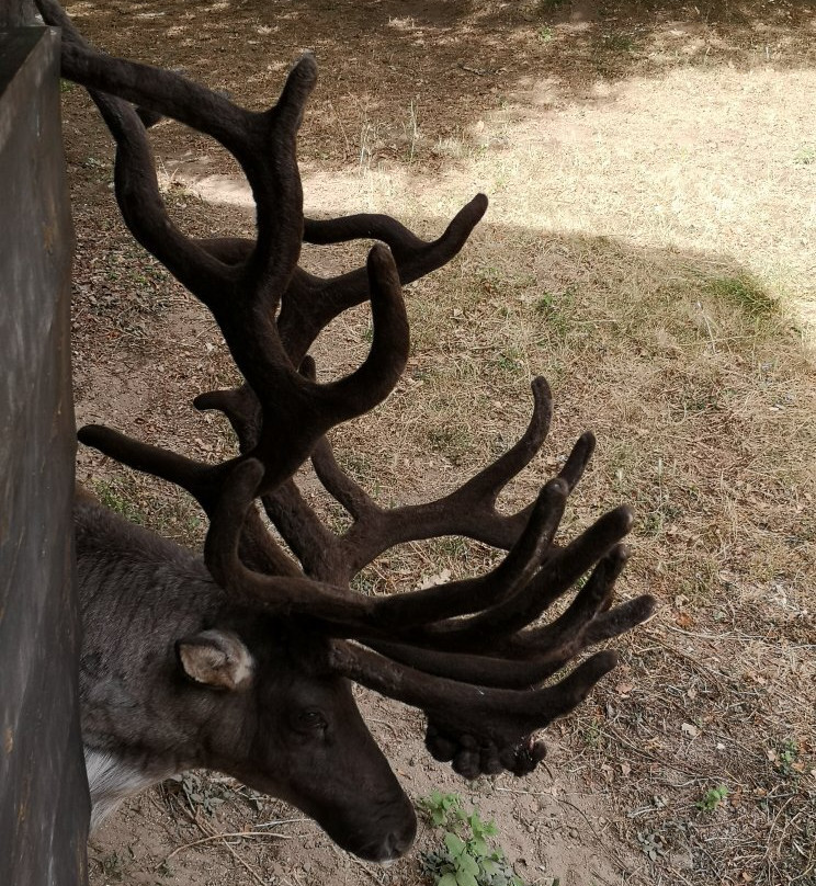 Marcelle Natureza-Outeiro de Rei必去景点