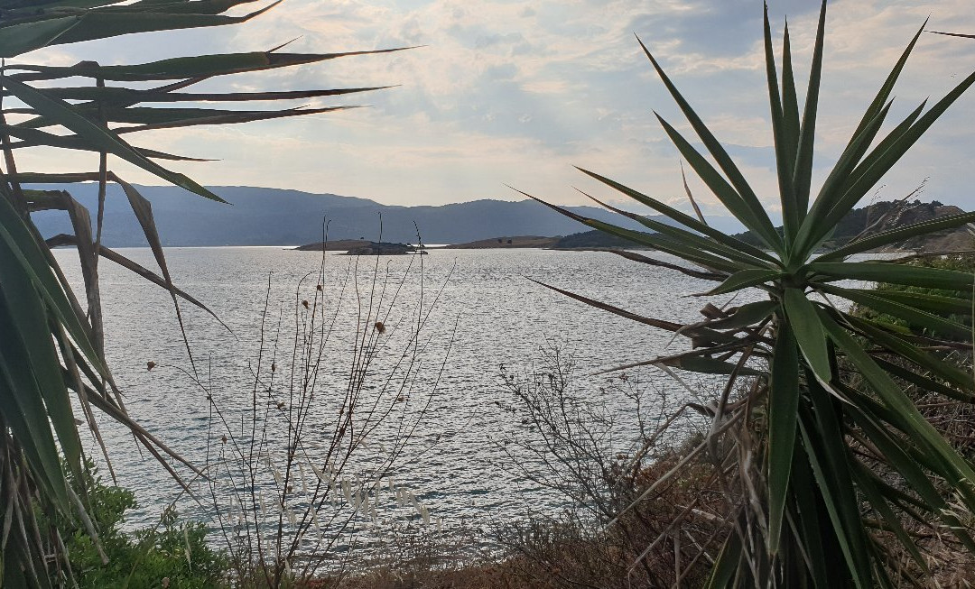 Agios Georgios Beach-Ammouliani必去景点